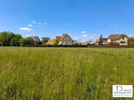 terre et developpement
