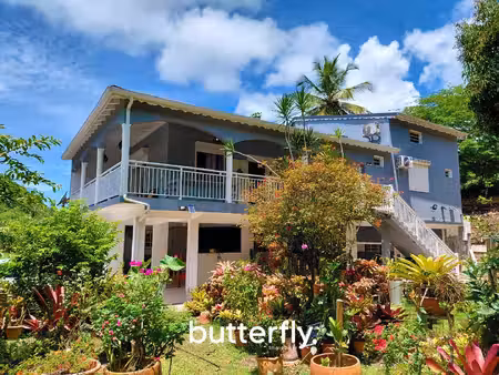 butterfly immobilier