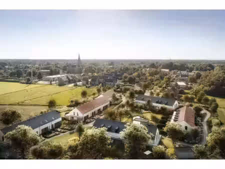 zuiderkroon