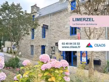 vente terrain à limerzel (56220) : à vendre / limerzel