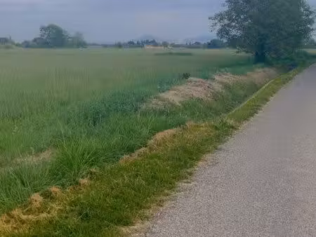 terrain agricole