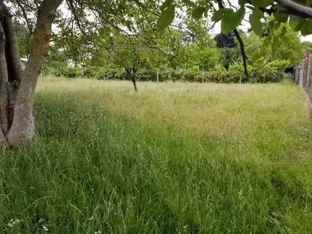 terrain constructible à vendre