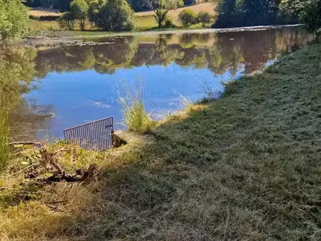 terrain avec etang