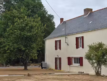 idéal grande famille