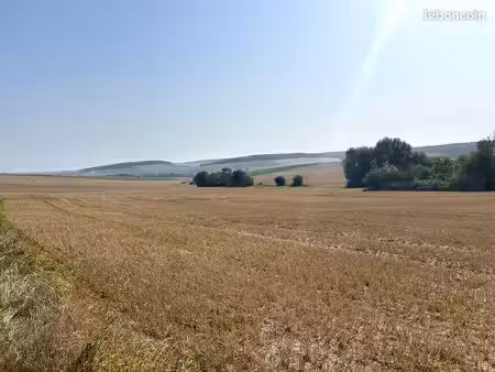 terrain 5 310 m² coulonges cohan