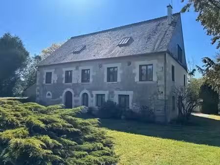 vente maison 14 pièces 420 m² bessé-sur-braye (72310)