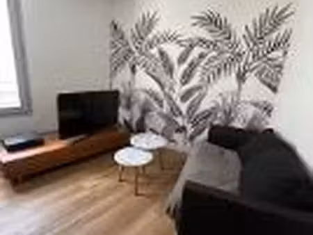 appartement lumineux t2 + garage centre chinon