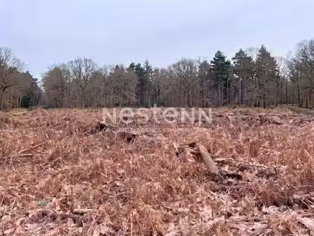 terrain à molac ? parcelle défrichée idéale loisirs & apiculture ? 8 980 m²