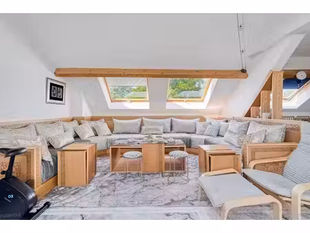 woningen (en makelaars) met karakter