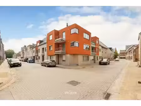 appartement te koop in hamme met 3 slaapkamers