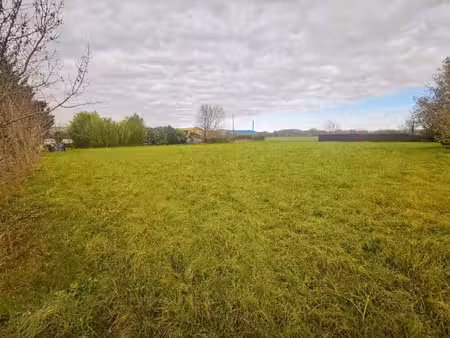 terrain constructible