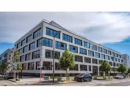 location local professionnel 1 793m²