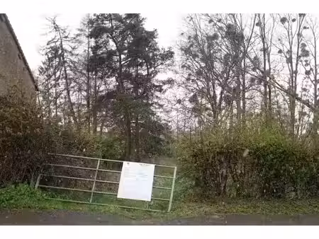 vente terrain 2662 m² à manou (28240)  15 000 €
