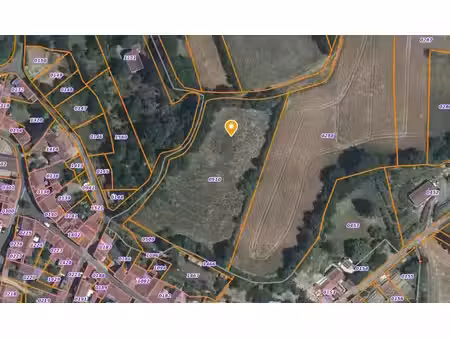 vente terrain 5972 m² à preuilly-sur-claise (37290)  3 000 €