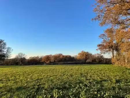 vente terrain 7035 m² à etrechy (18800)  25 000 €