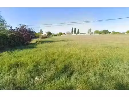vente terrain 1032 m² à colombiers (17460)  36 120 €