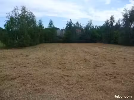 vente terrain 687 m² à saint-romain-d'ay (07290)  39 000 €