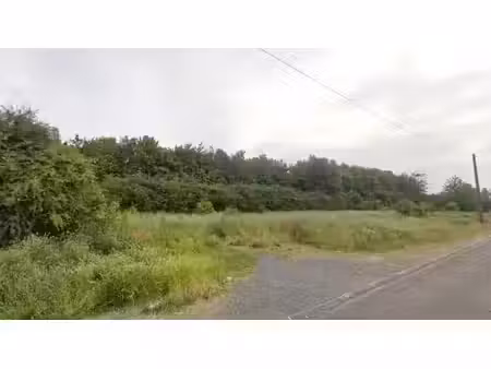 vente terrain 482 m² à ecaillon (59176)  41 500 €