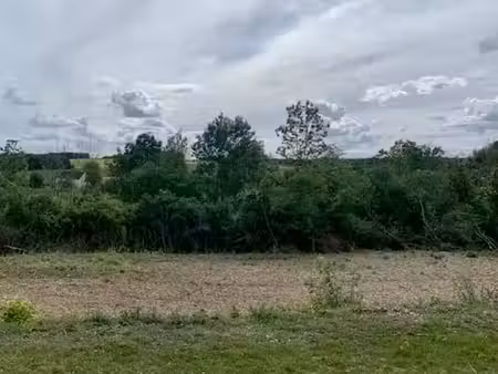 vente terrain 3395 m² à neuvy (51310)  43 000 €