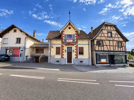 achat maison 10 pièces 220m² waldighofen 68640