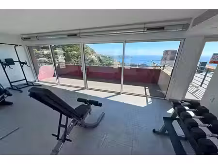 achat : appartement (06240)