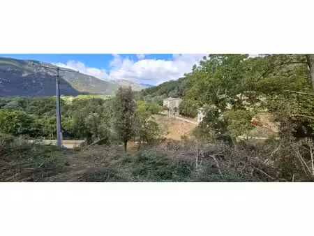 vente terrain 3095 m² olmiccia (20112)