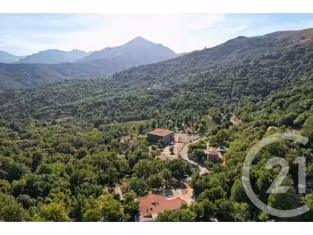 achat : maison (20259)