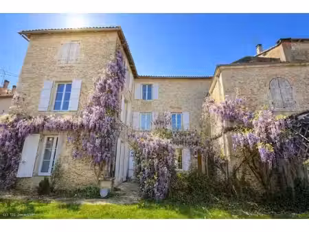magnifique maison de ville avec 8 chambres  une annexe et une