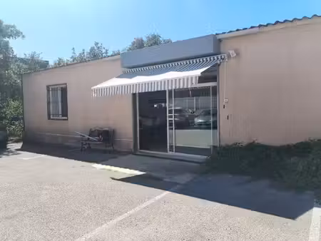 location local professionnel 219m²