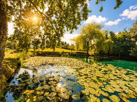 les sorinières. propriété au calme dans un parc paysager avec une pièce d'eau. 653 000 €..