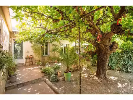 avignon (84)