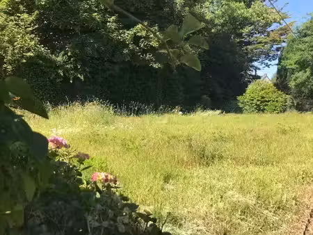 terrain