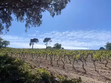 propriété de 30 hecatres– proximité saint-tropez