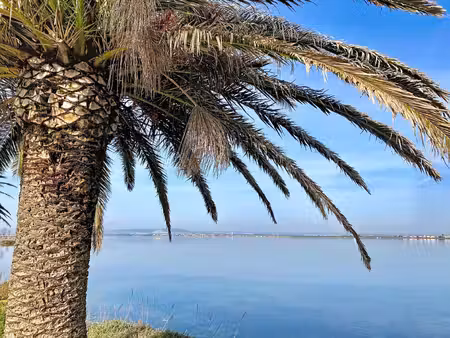 palavas les flots  coup de cœur rive droite maison de plain-pied avec vue imprenable sur..