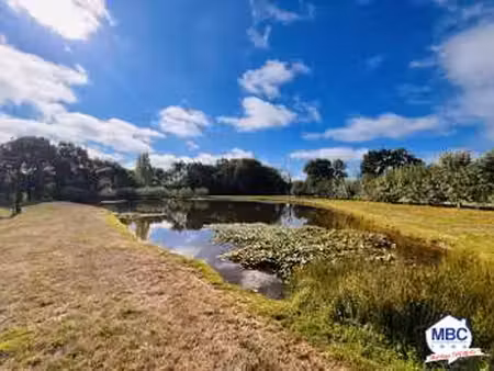 vente terrain à montrevault-sur-evre (49110) : à vendre / montrevault-sur-evre