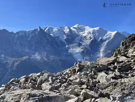 vente terrain