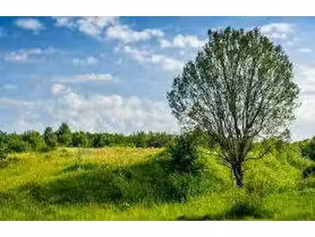 vente terrain à trégastel (22730) : à vendre / trégastel