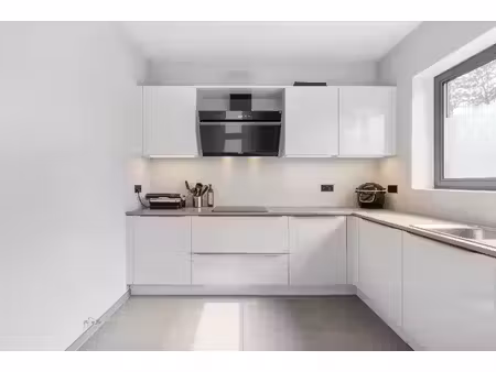 villa rénovée économe en énergie  5 chambres à dilbeek