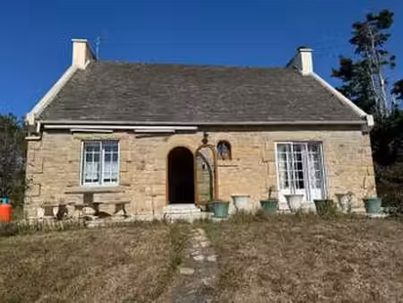 vente maison bord de mer à plougasnou (29630) : à vendre bord de mer / 115m² plougasnou