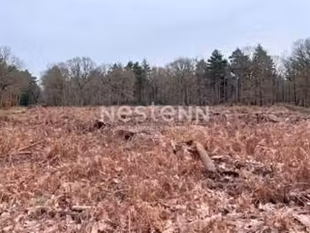 vente terrain à molac (56230) : à vendre / 8980m² molac