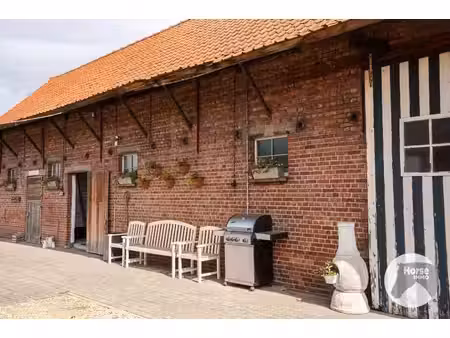 wachtebeke - instapklare paardeneigendom op ca. 1 5 hectare