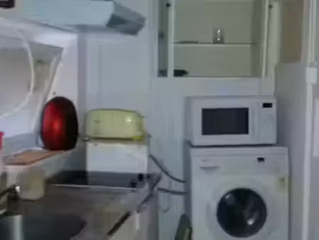 location appartement 1 pièce 25 m² à neuville-sur-saône (69250)