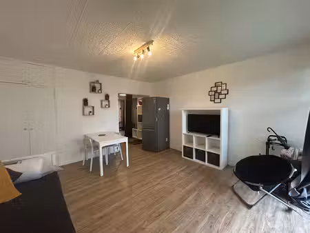 appartement 29 53 m2 avec jardin