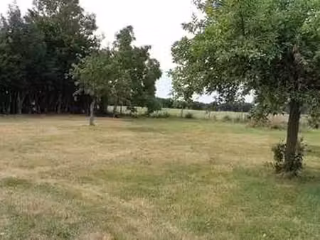 vente terrain à neufchâtel-en-saosnois (72600) : à vendre / 1973m² neufchâtel-en-saosnois