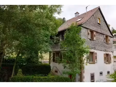 rose immobilier
