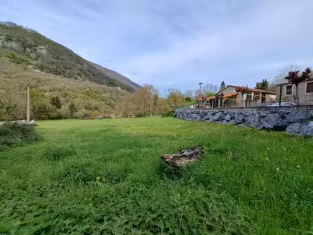terrain