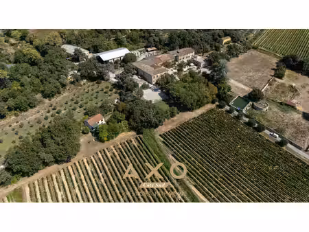 propriété viticole