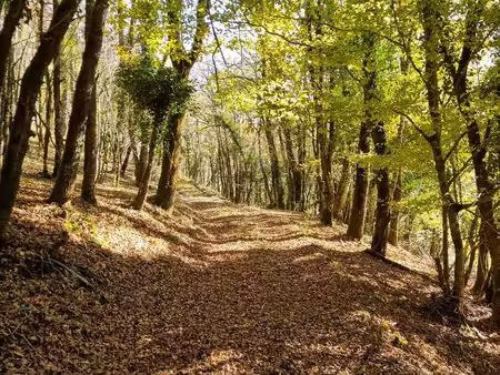 demeure de caractère en pleine nature sur 67 ha d'un seul tenan