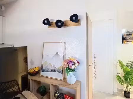 studio 1 pièce 20 m²
