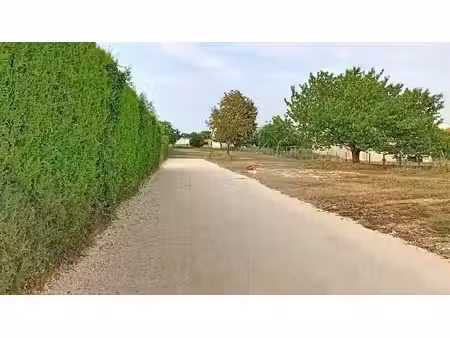 vente terrain 487 m² à cozes (17120)  60 875 €